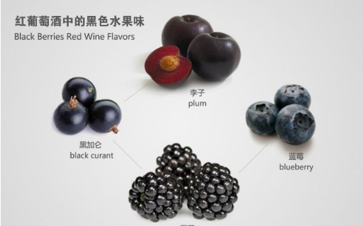 红酒进口报关葡萄酒中的生果香——红VS黑